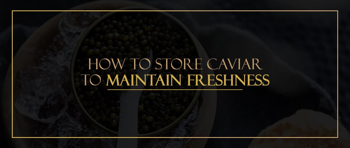 How to Store Caviar to Maintain Freshness