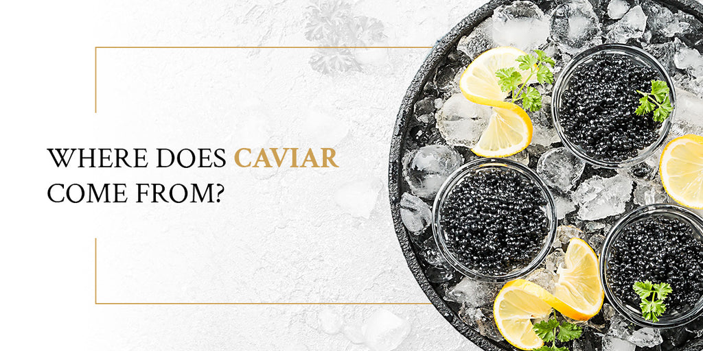 Where Does Caviar Come From?