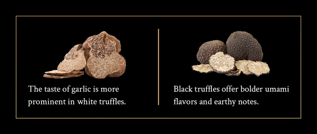 white vs black truffles