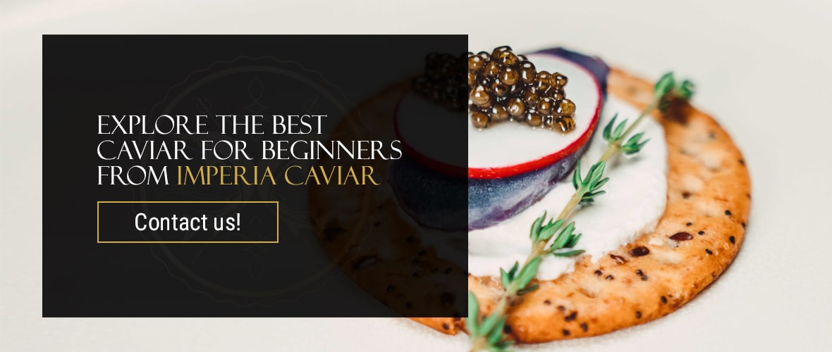 Explore the Best Caviar for Beginners From Imperia Caviar