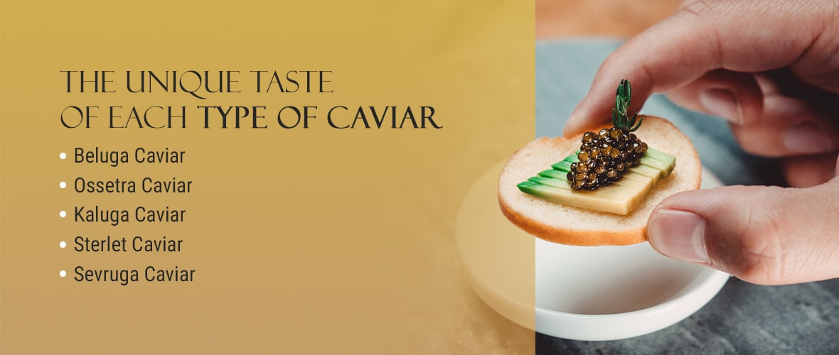 The Unique Taste of Each Type of Caviar