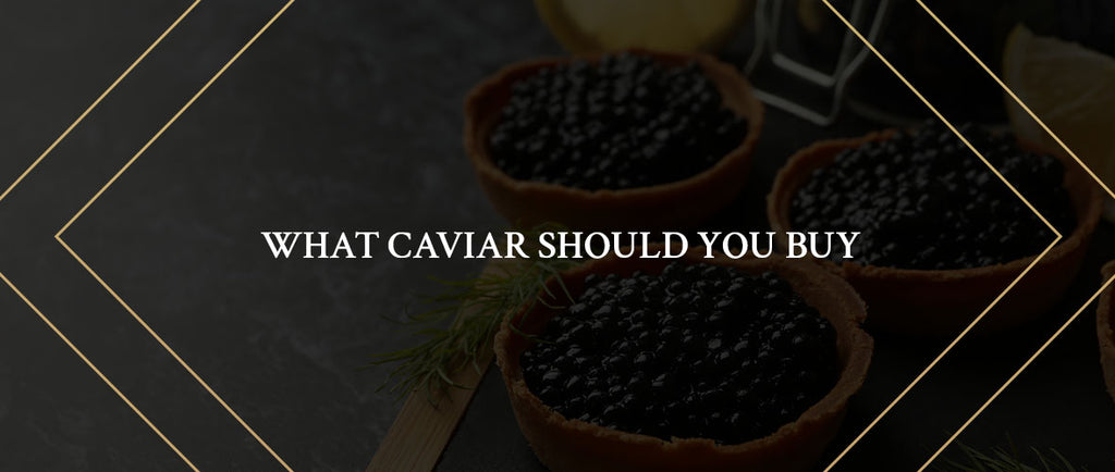 What caviar should you buy?